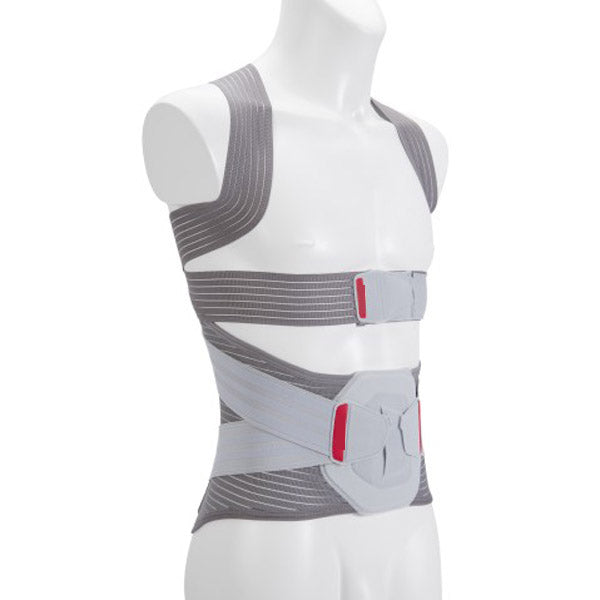 DDP back and lumbar belt