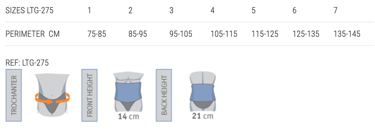 Elite Seamless Lumbar Support Belt (21cm)