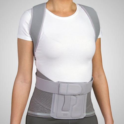 Ceinture dorso-lombaire