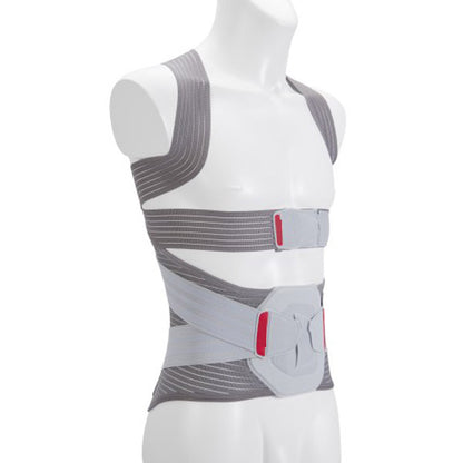 DDP back and lumbar belt