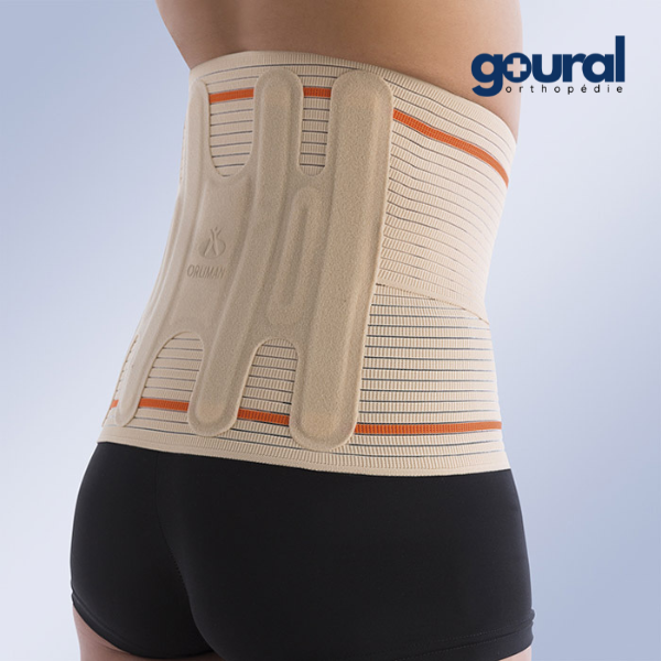Evotec back and lumbar support belt