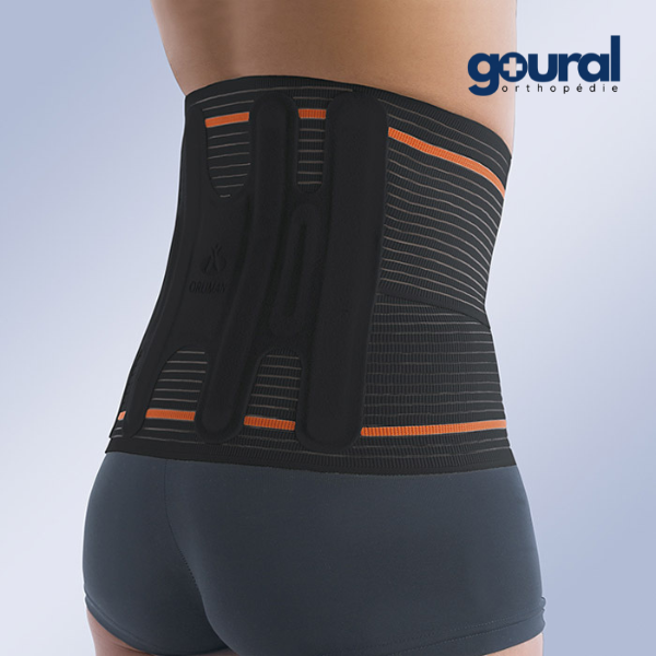 Evotec back and lumbar support belt