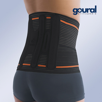 Evotec back and lumbar support belt