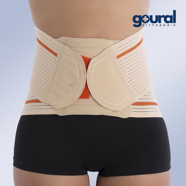 Evotec back and lumbar support belt