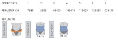 Elite Seamless Lumbar Support Belt (21cm)
