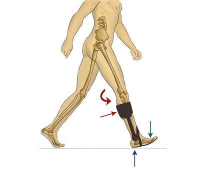 Releveur de pied Dynamic à dorsi-flexion réglable