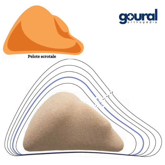 Pelote scrotale pour bandage herniaire